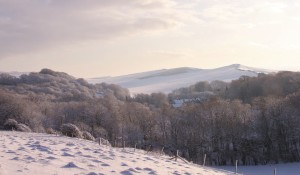 northcourt snow 2010