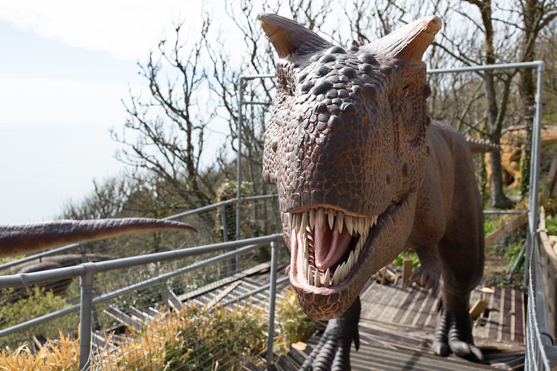 52049538303_47beb14b32_c