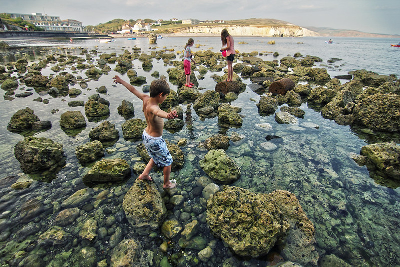 9285658105_e55cd95096_c